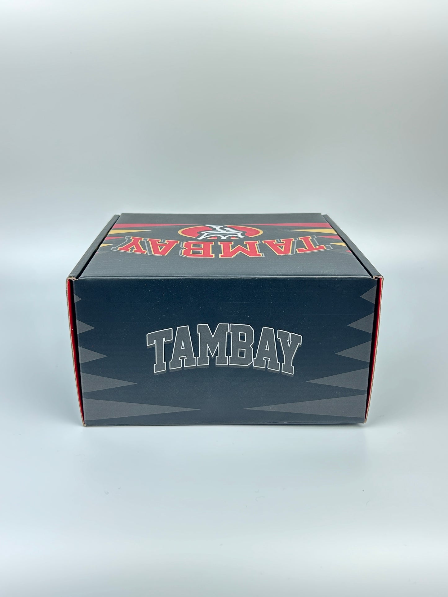 Tambay V25