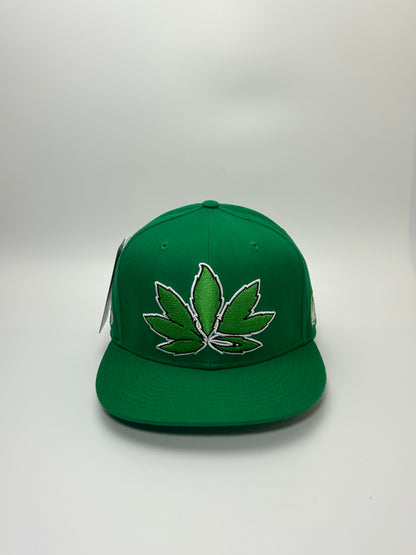 Krown x WBW Wila Leaf Green