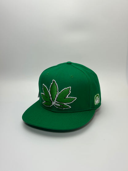 Krown x WBW Wila Leaf Green