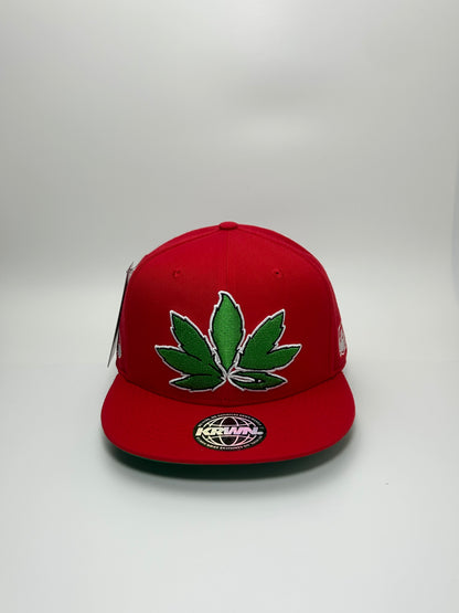 Krown x WBW Wila Leaf Red