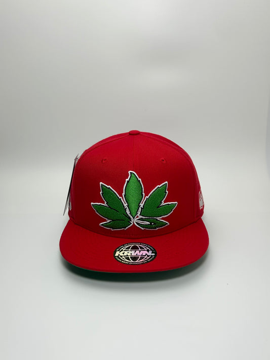 Krown x WBW Wila Leaf Red